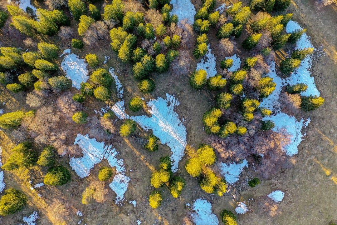 Professionelle Drohnenfotografie macht weitläufige Naturräume verständlich