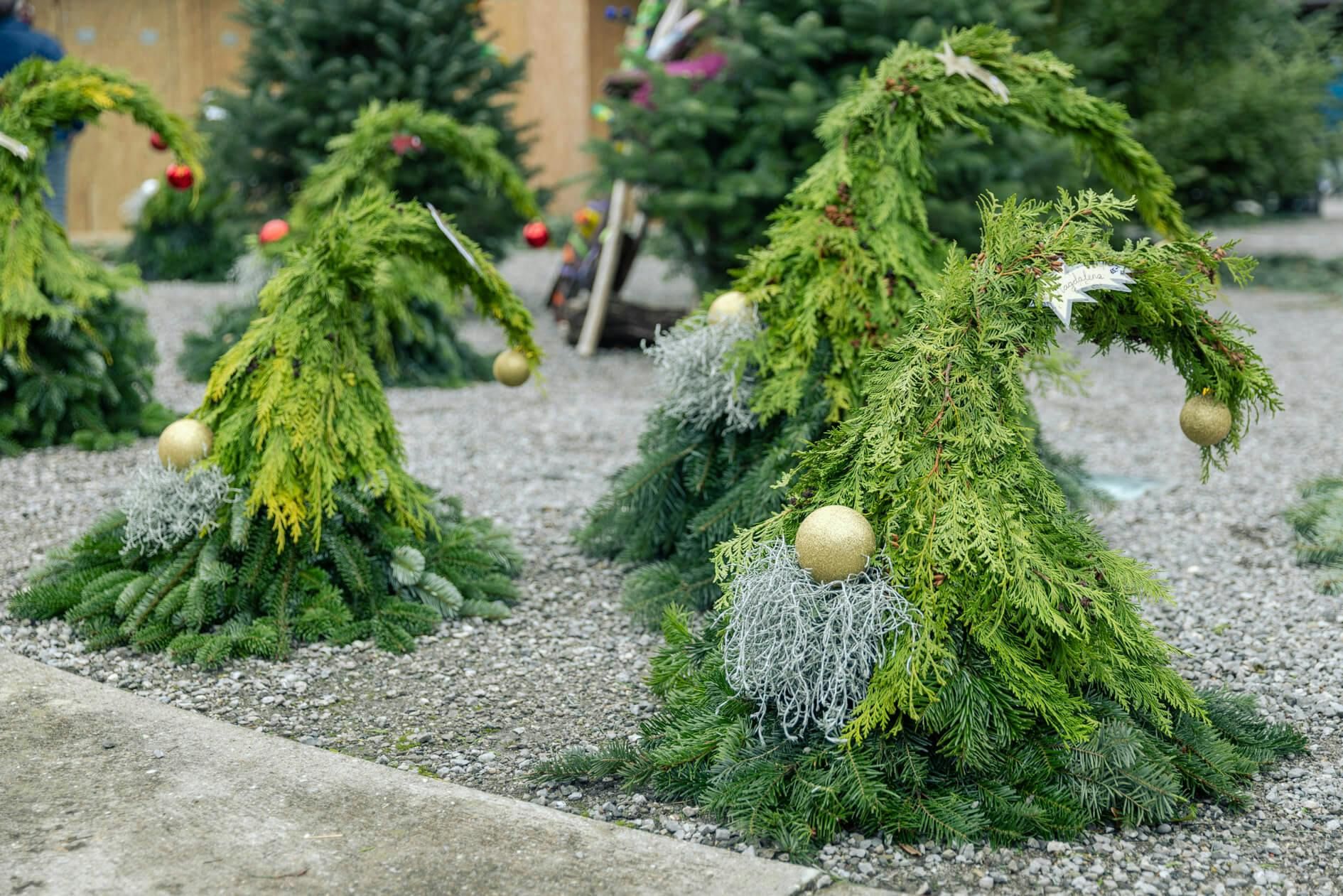 Eventfotografie zur liebevollen Gestaltung des Anlasses in Frienisberg