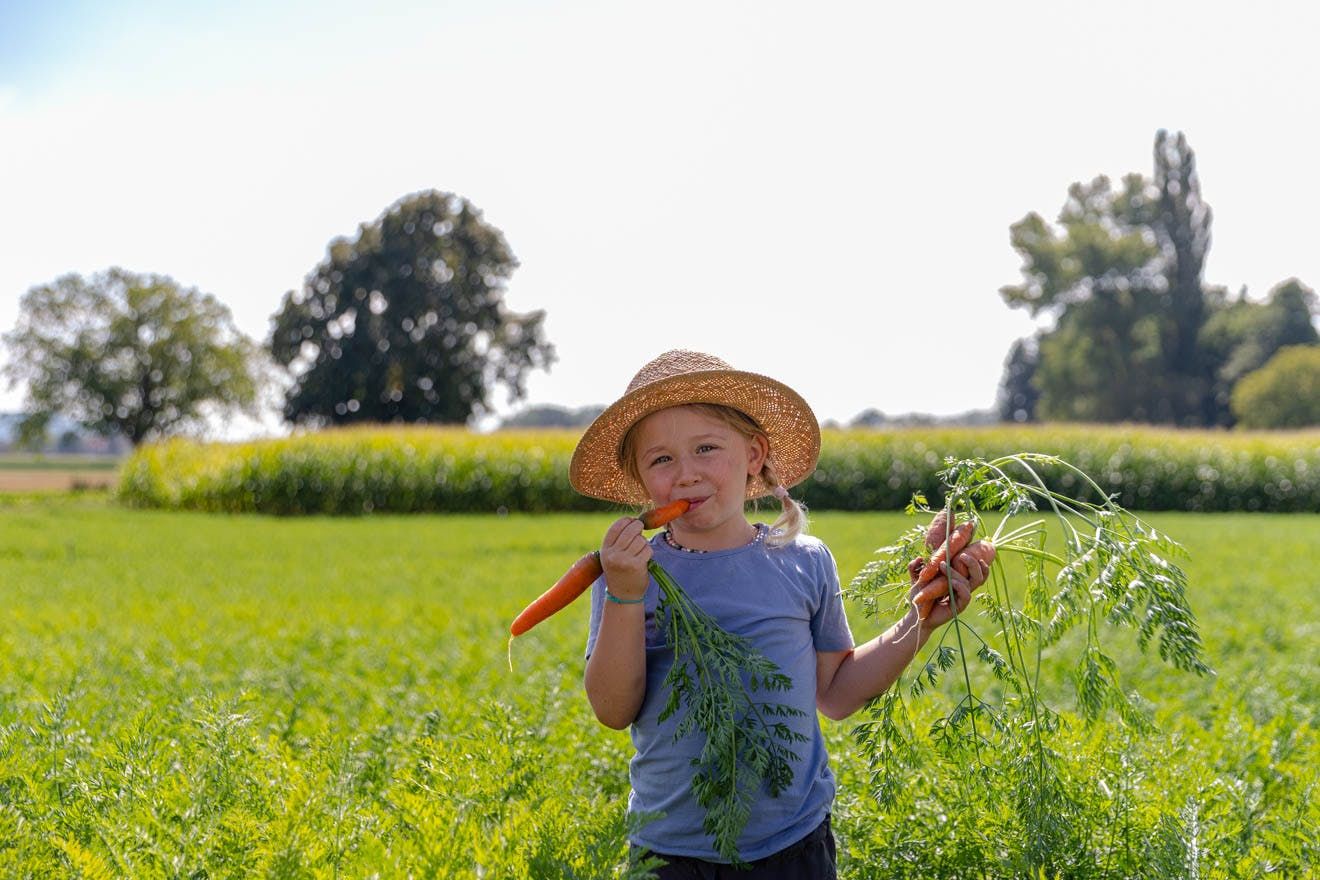 Imagefotografie der Berner Fachhochschule zu Landwirtschaft und Ernährung