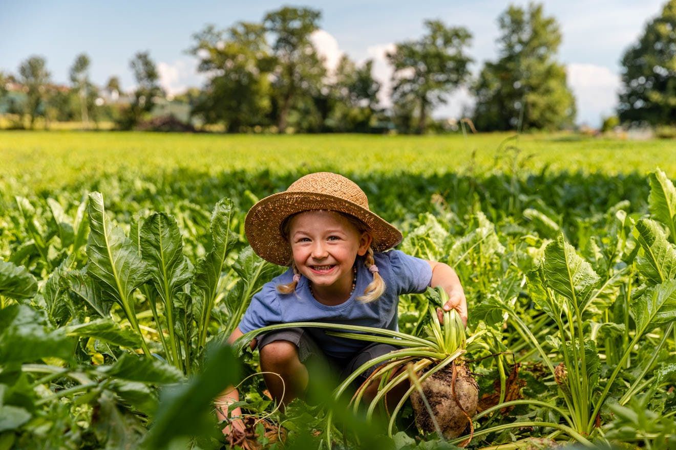 Imagefotos für die Vermittlung nachhaltiger Landwirtschaft an der BFH