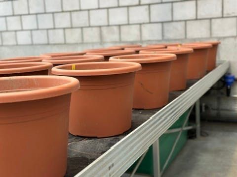 Durch bewusste Gestaltung gelingen bei RICOTER überzeugende Businessfotos